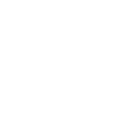Cost Icon