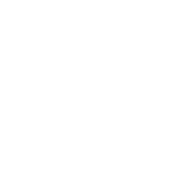 Cost Icon